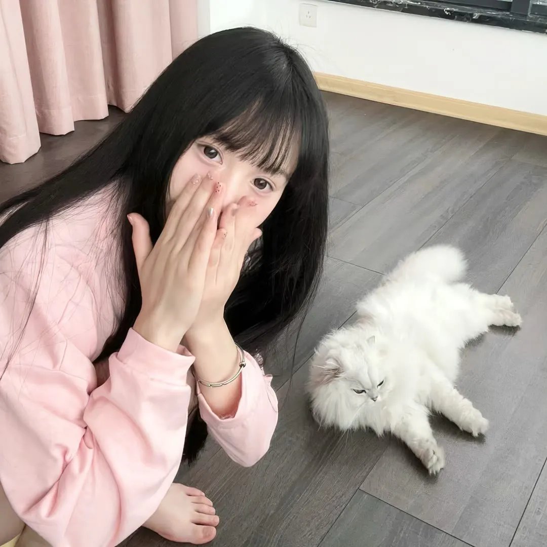 香椿